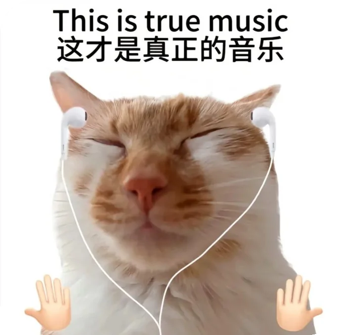 This is true music 这才是真正的音乐